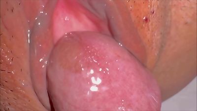 inexperienced pink Pussy: 338 days after losing her virginity.